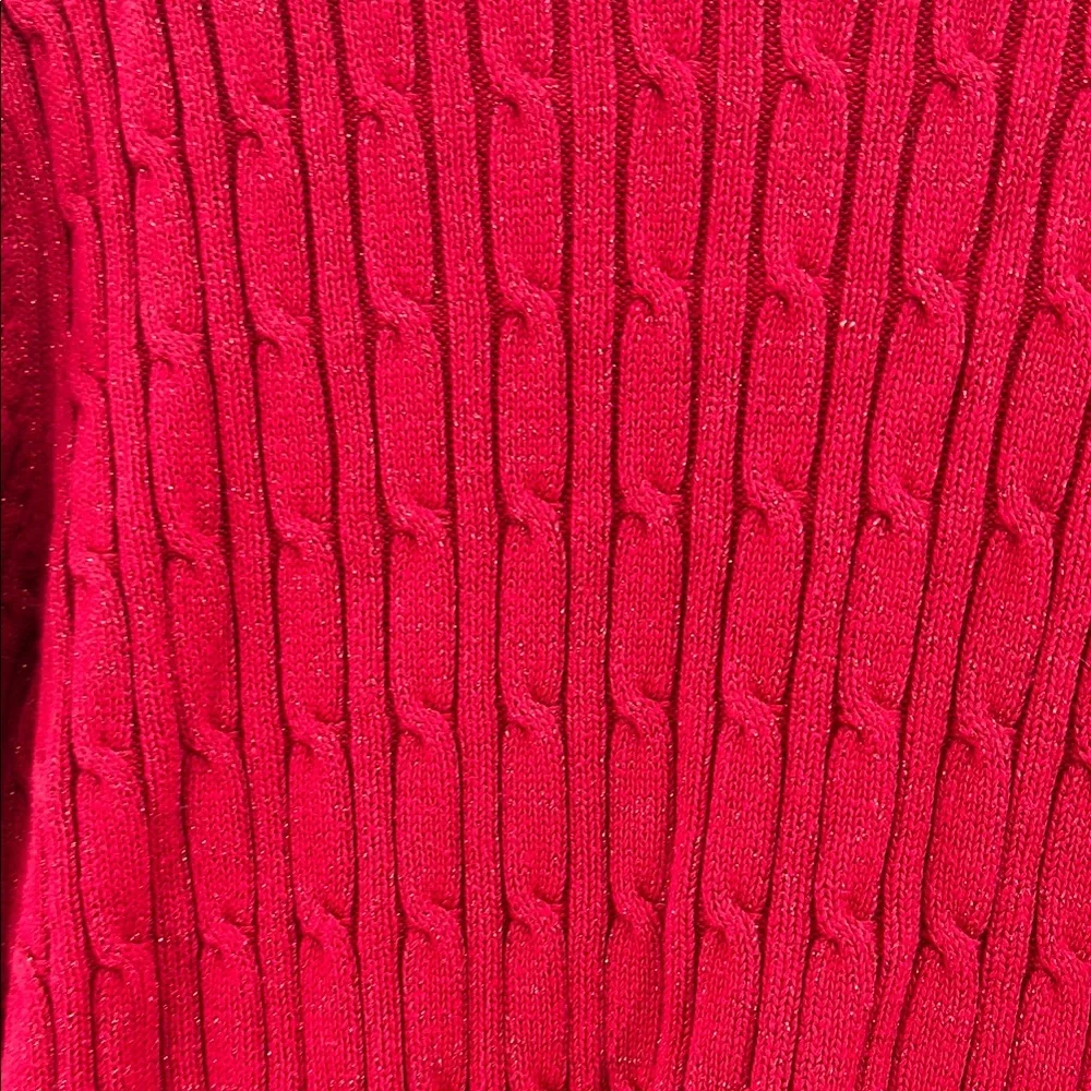 Karen Scott Red Crew Neck Sweater with Textured Knit XL cable knit metallic